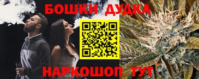 индика Партизанск