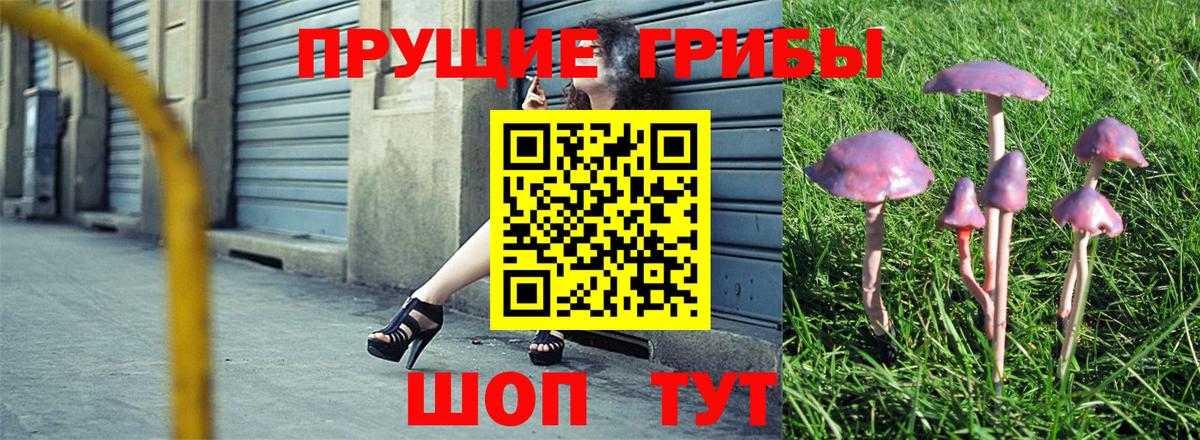 Псилоцибиновые грибы прущие грибы  Вход с VPN  Ртищево 
